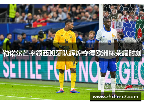 勒诺尔芒率领西班牙队辉煌夺得欧洲杯荣耀时刻