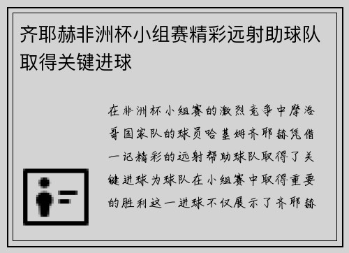 齐耶赫非洲杯小组赛精彩远射助球队取得关键进球